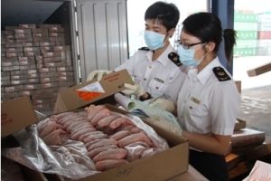 深圳凍肉進口報關公司；深圳到香港物流-深圳東勝物流